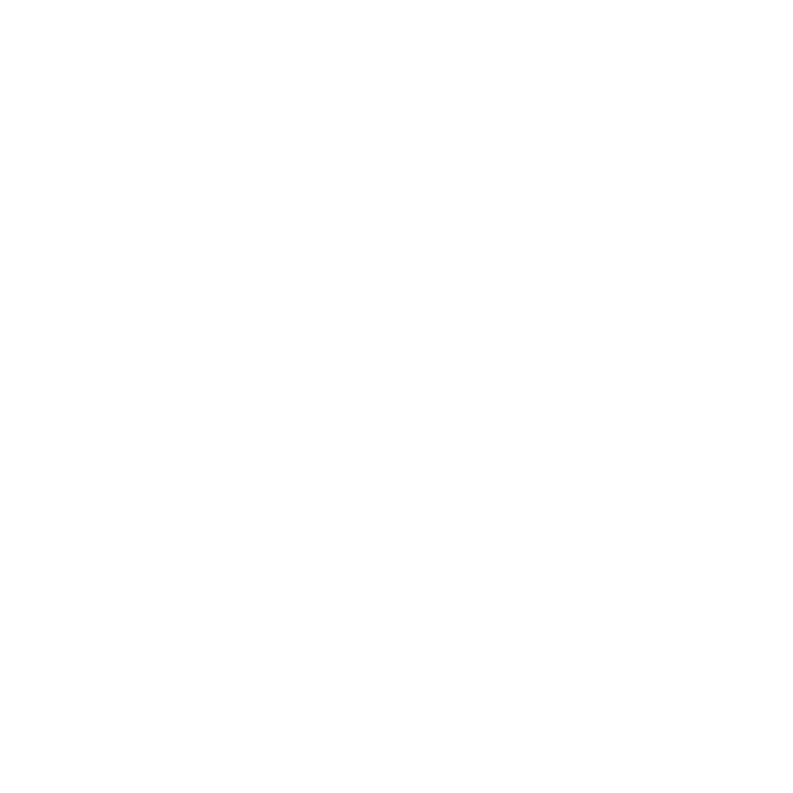 Blue Turtle Agency